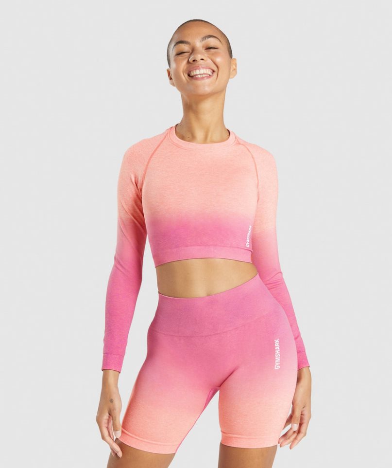 Women\'s Gymshark Adapt Ombre Seamless Long Sleeve Cropped Tops Pink | CA 6N138D